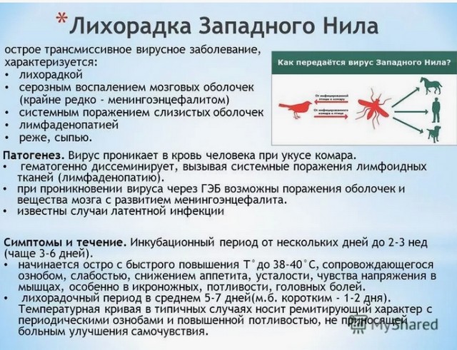 Foto 25 07 2024 9 41 1