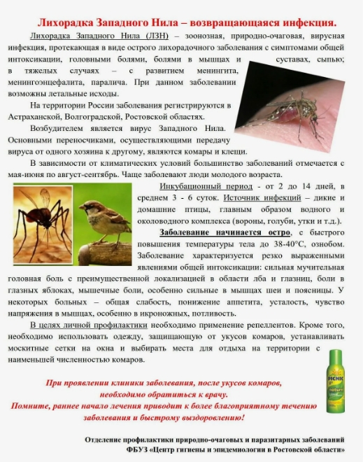 Foto 25 07 2024 9 41 2