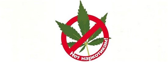 net narkotikam