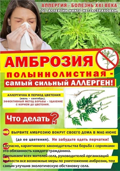 ambroziya