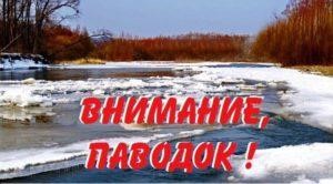 pavodok