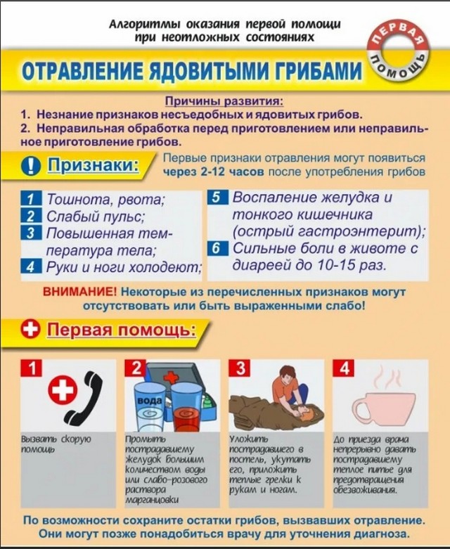 pbichs02
