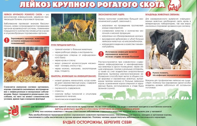 pamyatka 1